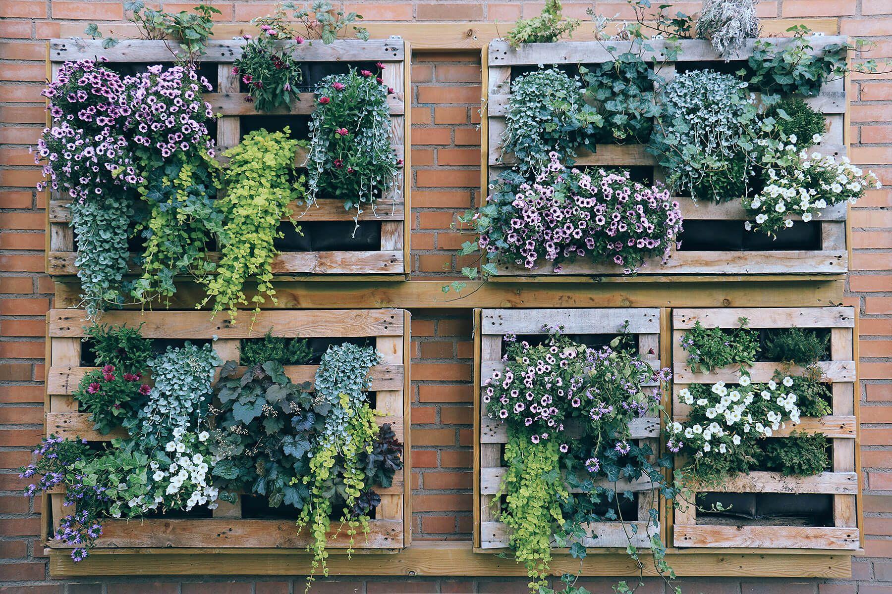 Vertical Gardening For Beginners